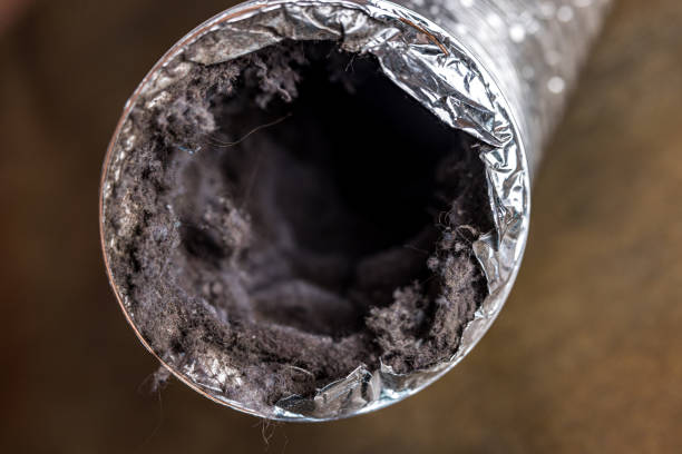 Best Affordable Duct Cleaning Services  in Panama City Beach, FL