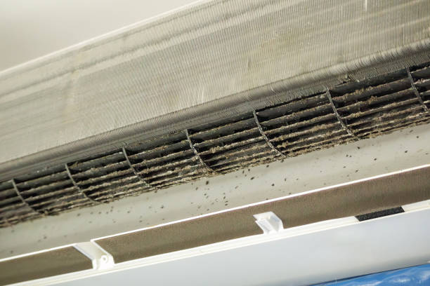 Best Air Duct Cleaning Near Me  in Panama City Beach, FL